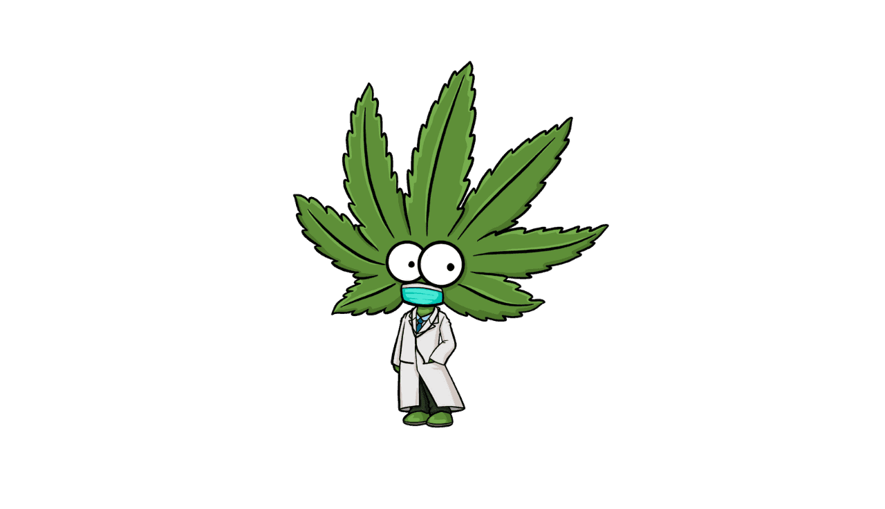 Cannabis Apotheker